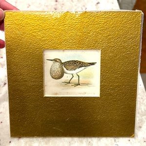 Bird Painting from 1902